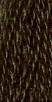 Raven